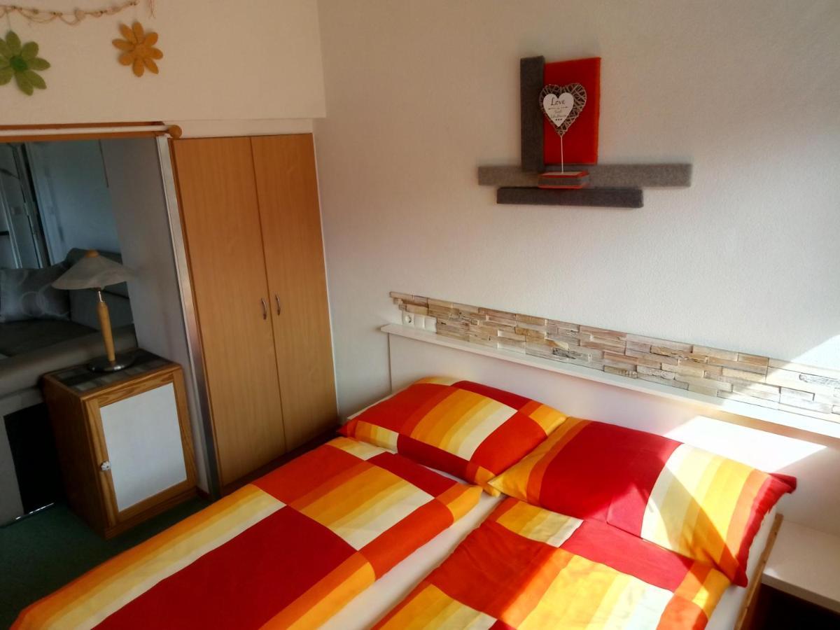 Apartment Bea Schladming Dış mekan fotoğraf