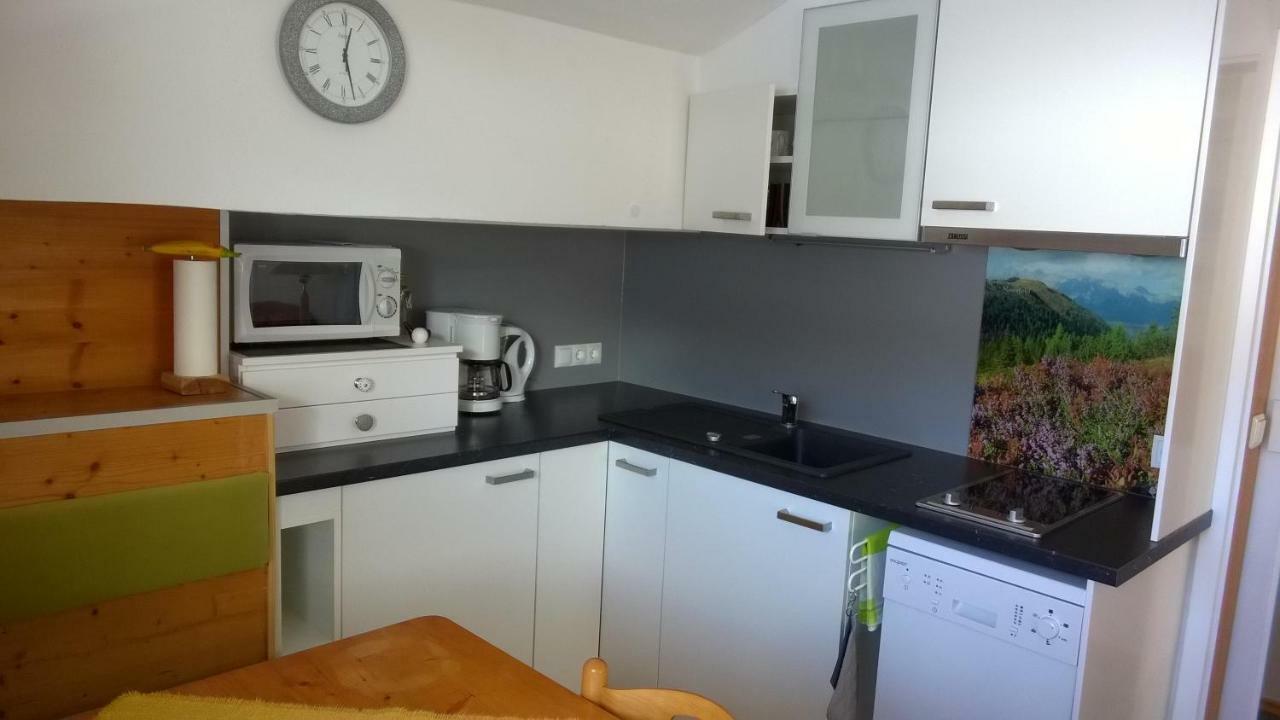 Apartment Bea Schladming Dış mekan fotoğraf