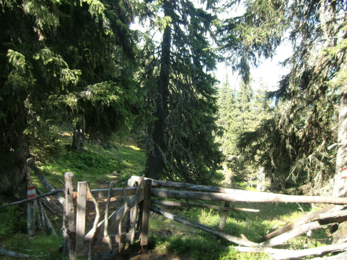 Apartment Bea Schladming Dış mekan fotoğraf
